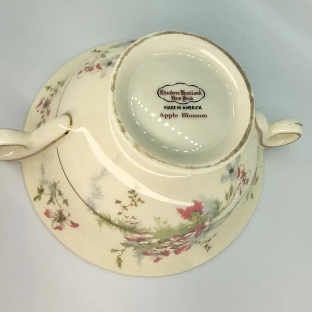 Theodore Haviland New York Apple Blossom Sugar Bowl No Lid Gold Trim USA Made